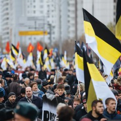 Русский Марш против Диктатуры: Обзор акций в регионах