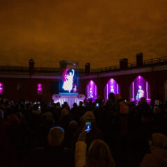 В Санкт-Петербурге националисты завершили День русского национального единства посетив световое представление