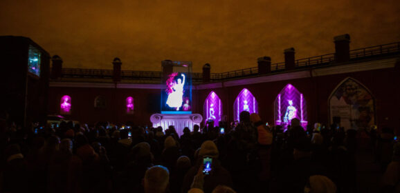 В Санкт-Петербурге националисты завершили День русского национального единства посетив световое представление