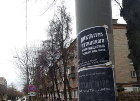 День русского национального единства прошёл в Подмосковье